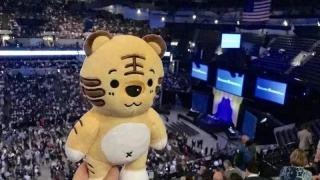 中国互联网券商老虎证券,老虎证券是券商吗