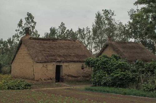 七哥哥打架,七哥哥回放