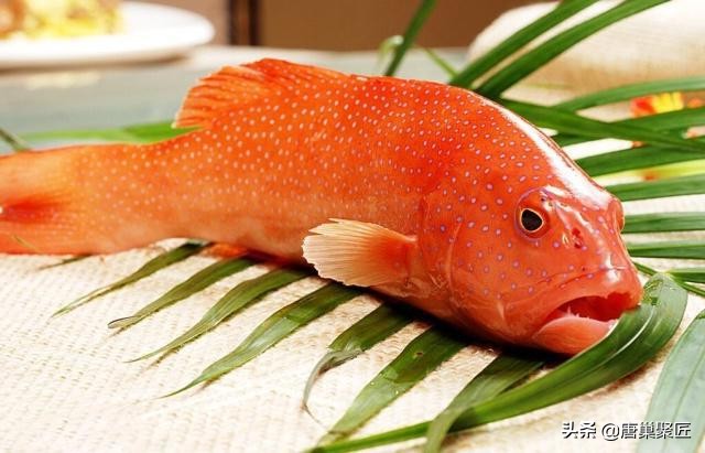 高晓松十大经典作品,高晓松北京美食往事