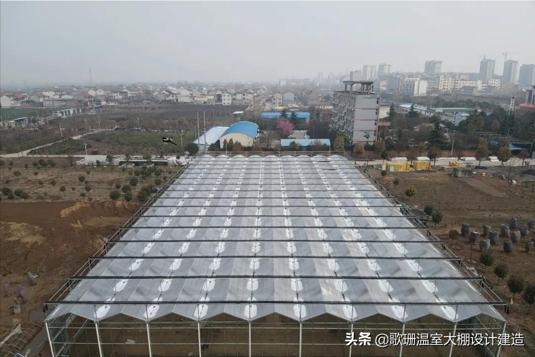 歌珊玻璃温室大棚安装,pc阳光板温室大棚的造价