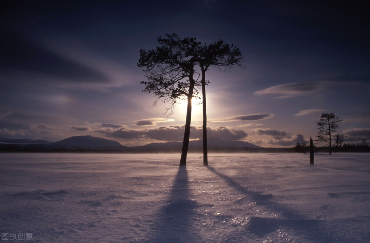 5本完结多年仍是经典的网络小说,推荐五本巅峰网络小说统治力爆表