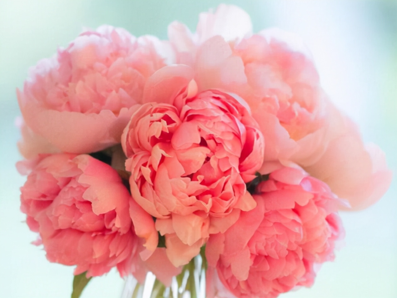 生气了摩羯座说心慌,生气后的摩羯怎么哄