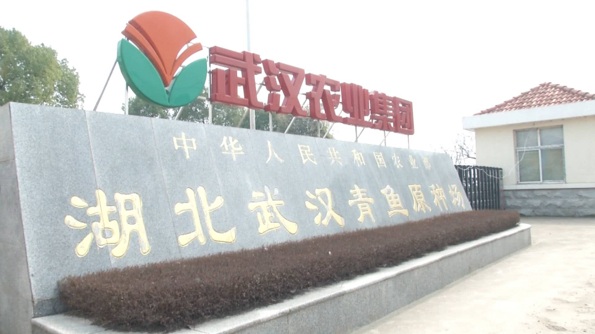 一条小鱼大概能卖多少钱,一条小鱼大约多少钱