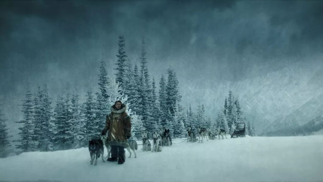 可怕的恶犬电影,伤害小狗电影