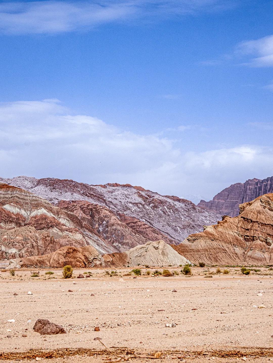 新疆塔里木大沙漠风景,除了沙漠树森林树还有什么