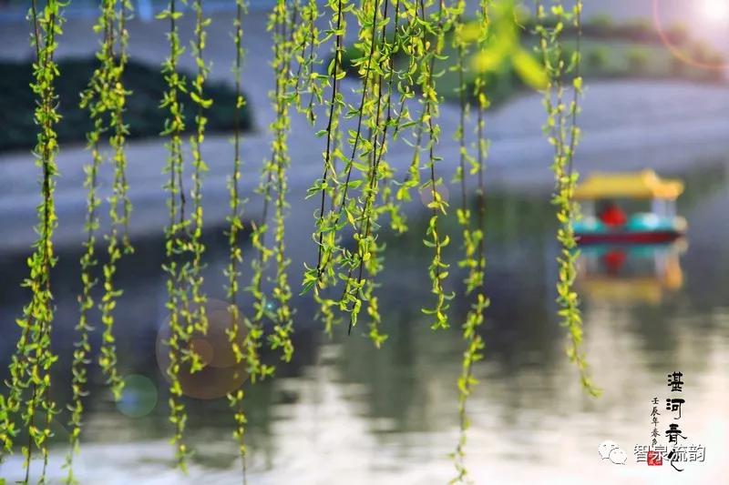 郭进拴神游索溪峪,郭进拴全部视频
