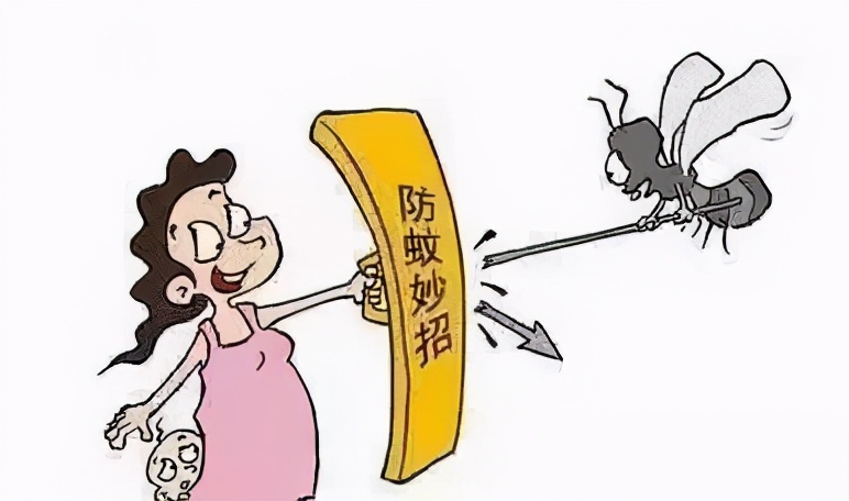 兰溪杨梅正式开摘！最强采摘攻略出炉，五十里杨梅长廊够吃吗？杨梅自由就是现在！