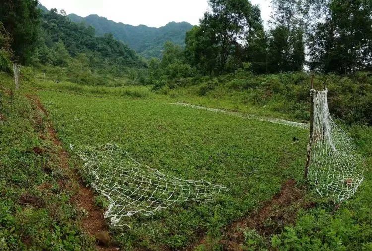 自制室内球场,自制球场定制
