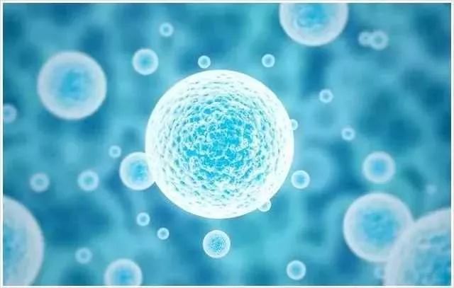 菌群问题,过敏与肠道菌群失调有关吗