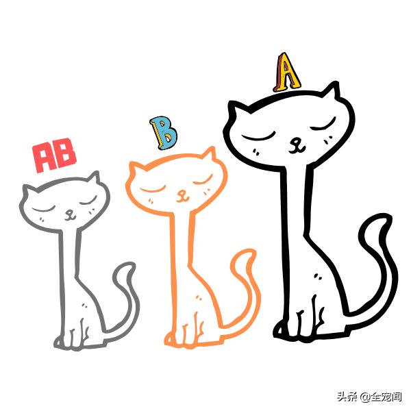 猫狗捐血,猫狗输液的基本常识