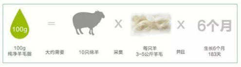 澳大利亚财政部长首推品牌，进国后让柳岩薇娅同时着迷，太疯狂了