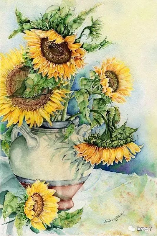 100种漂亮花卉图片,100张漂亮花图