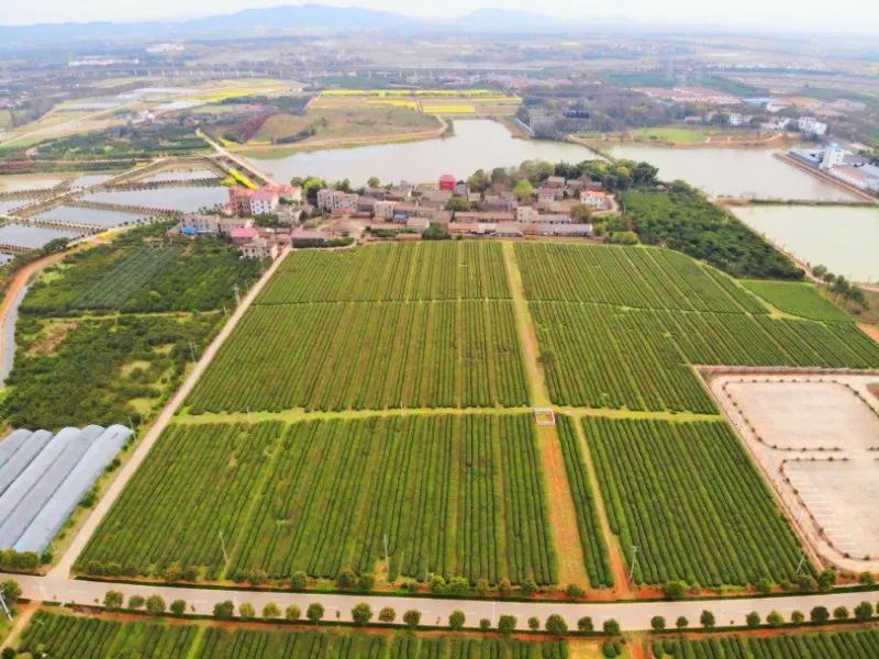 南昌真的要火了吗,南昌即将发展的地方