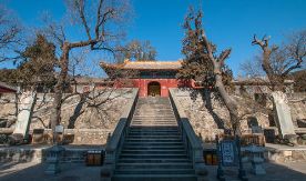 北京全博物馆109家亲身体验攻略手册（上）｜文史宴