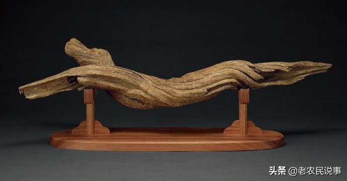 田间发现沉香木,家里烧沉香和沉香木区别