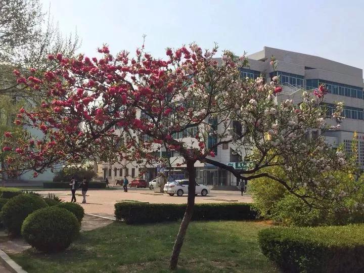 辽宁省普通高等院校大连大学,辽宁省交通高等专科学校15届