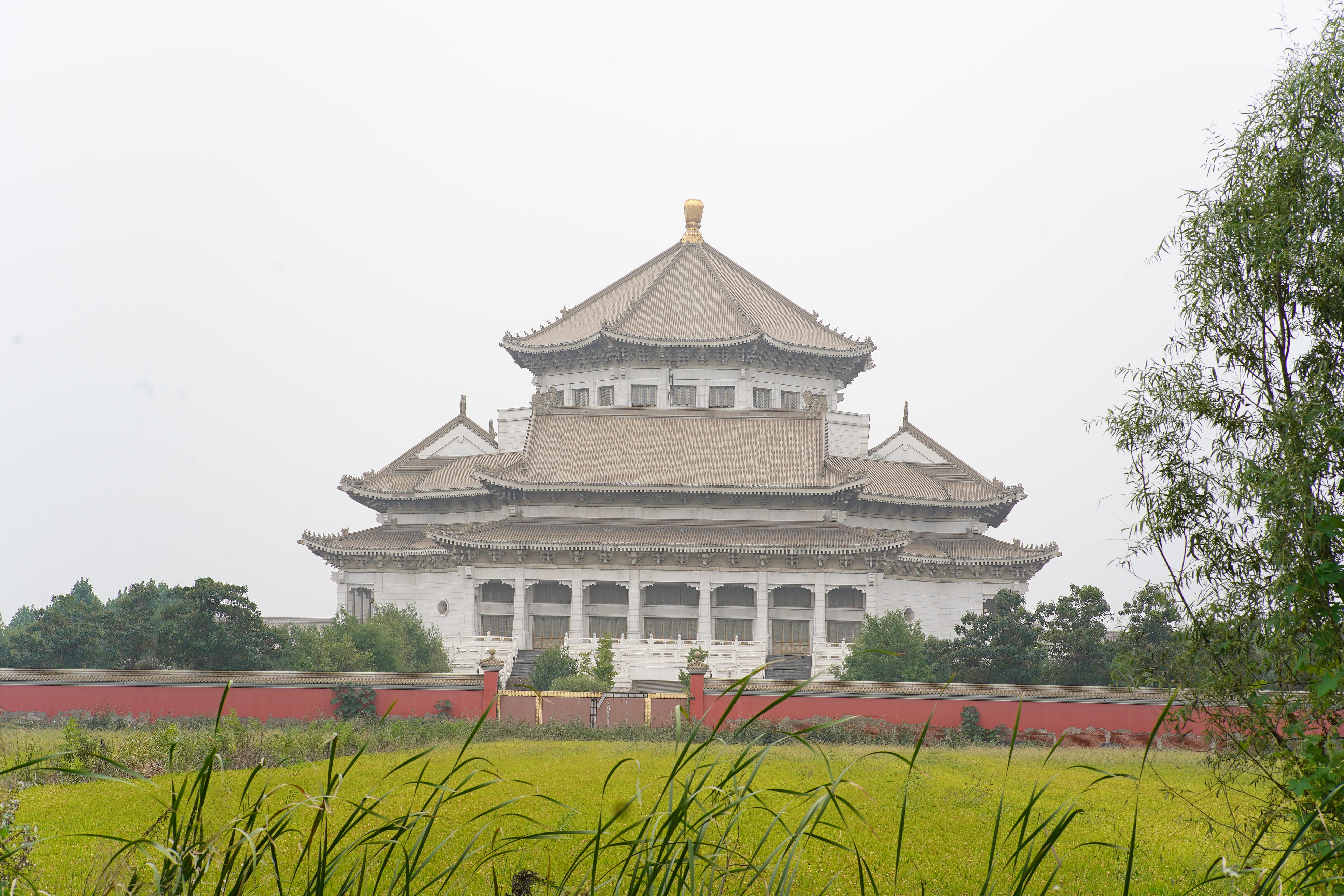 瀹濆澔浜触鏂板煄涓轰粈涔堟槸楝煎煄,瀹濆澔浜触鏂板煄杩樻槸楝煎煄