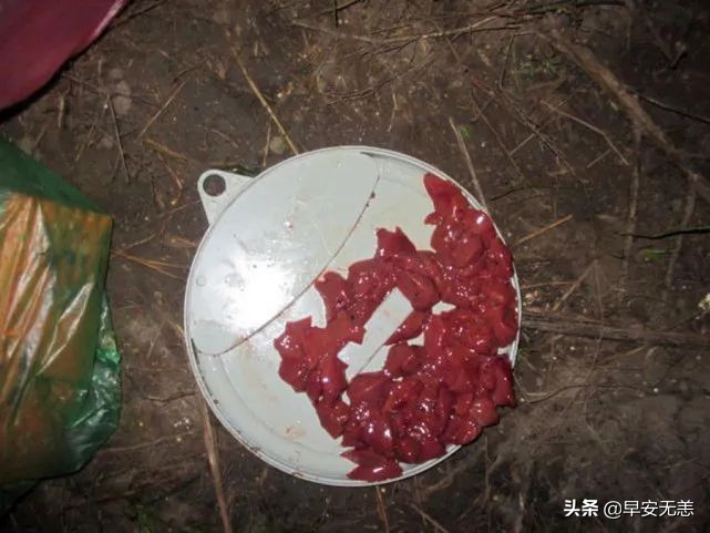 塘鲺鱼的克星,鱼塘塘鲺鱼钓饵