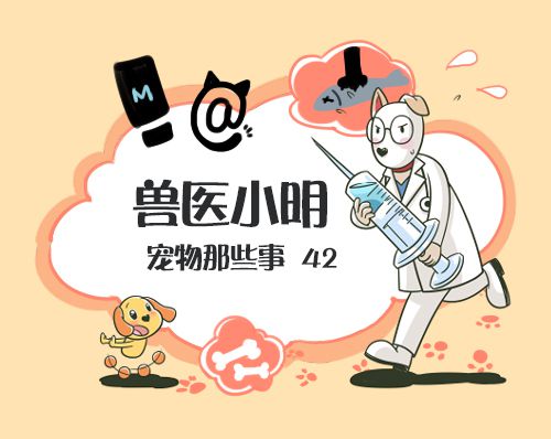 狗狗抖是故意的吗,辟谣狗狗每年不需要打预防针