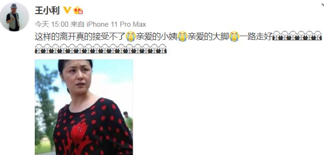 于月仙车祸原因赵本山,赵本山于月仙车祸事故细节