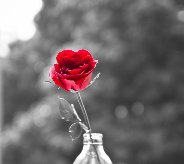 做人有点心机有多重要,做人不能太单纯要有防人心计