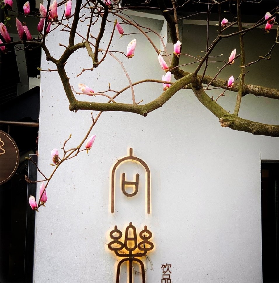 粉墙斜露杏花梢意思,粉墙斜露杏花梢