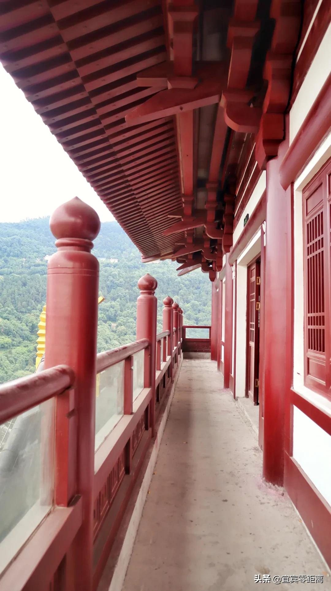 好热闹广场舞,宜宾好热闹的广场