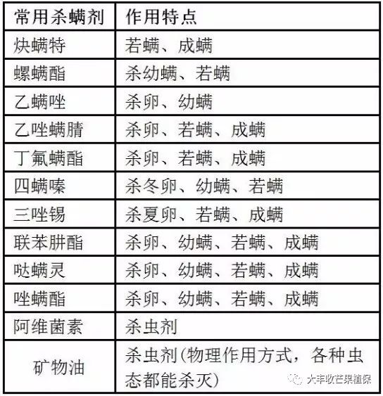芒果常见的生理病害及防治措施,芒果病害严重的原因有哪些