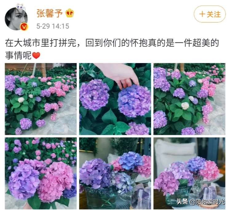 张馨予热门话题,张馨予从话题女王到帅气