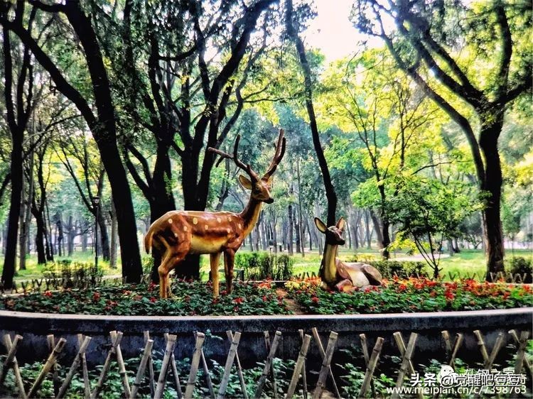 包头现在的情况怎么样了,鹿城为啥叫包头