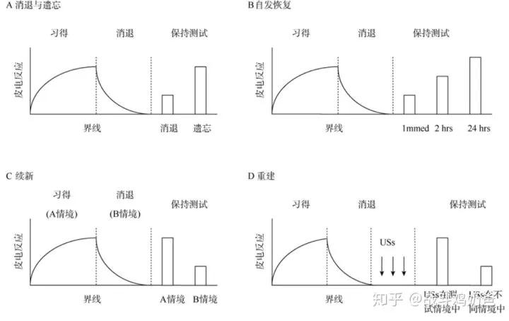 害怕小动物怎么解决,小孩害怕各种动物怎么回事