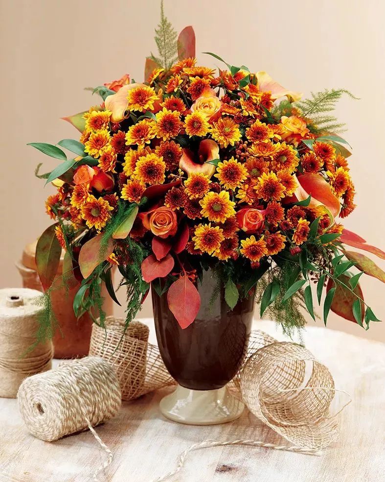 好看的切花菊推荐,好看好养的切花菊