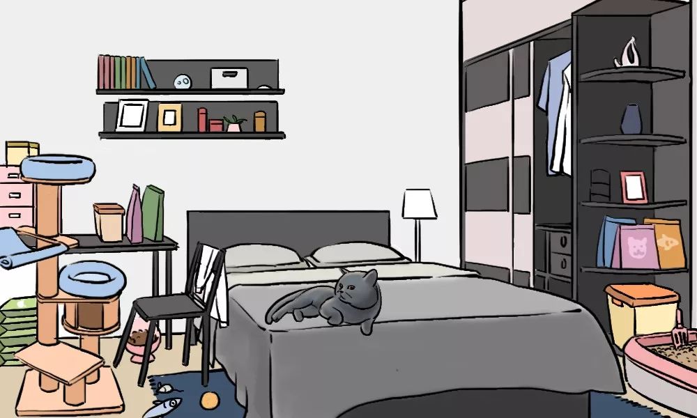 养猫的人到底有多有钱,北上广养猫的人