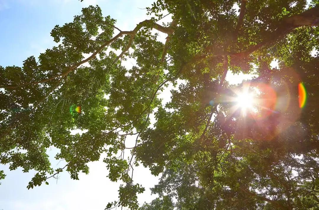 几十万在深圳买一个3房2厅的房子,首期25万买3房