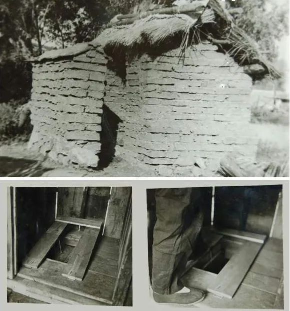 除四害是细菌战吗,以反细菌战为目的的爱国卫生运动