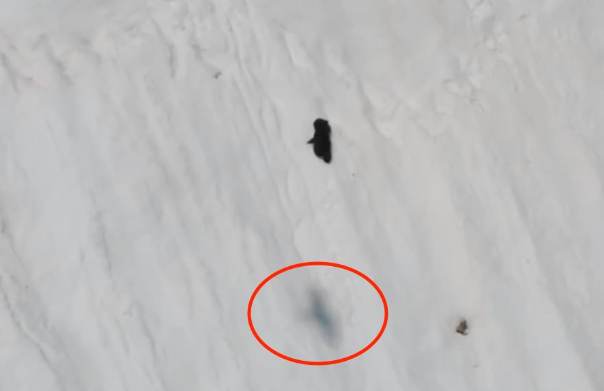 每个生命都值得被虐待,任何生命都不该被虐待