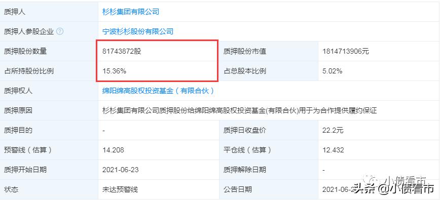杉杉集团产业板块,杉杉从服装转型到锂电