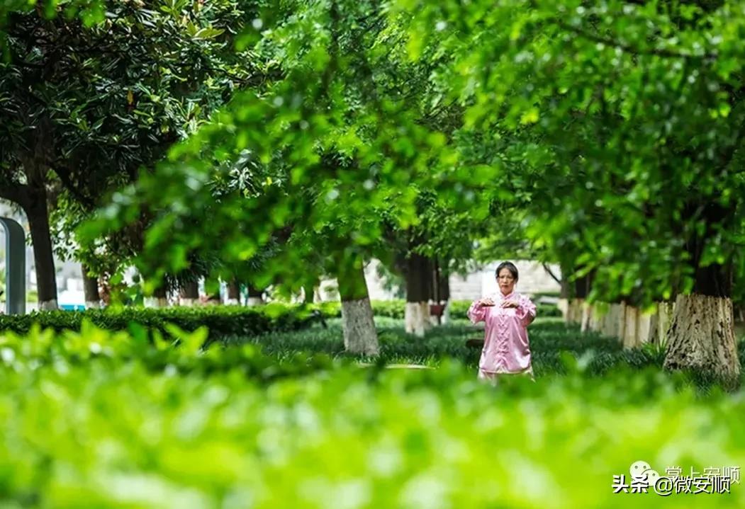 你好！我叫安顺，这是我2021最新简历