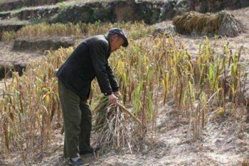 散文：恰似故人来