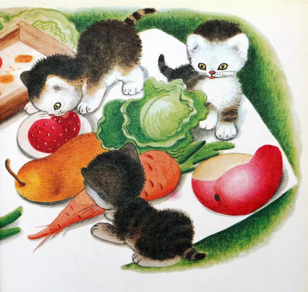 为什么要看绘本羞答答的小猫,幼儿绘本孤独的小猫推荐理由