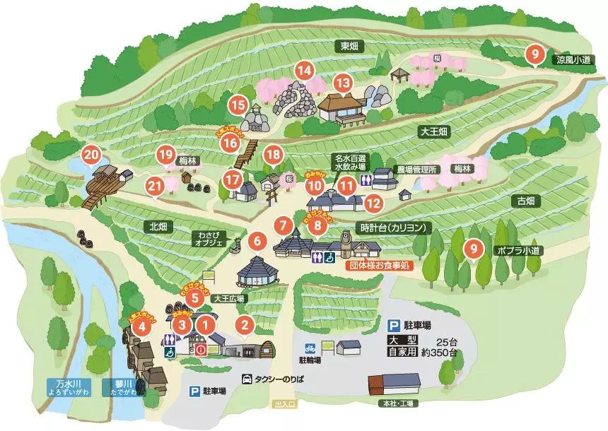 25亩荒地居然年游客竟然超过100万