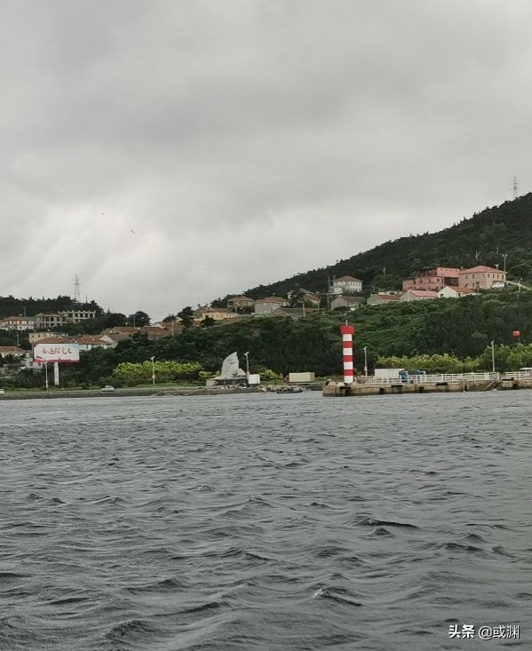 2016年獐子岛扇贝为什么回来了,扇贝回流獐子岛