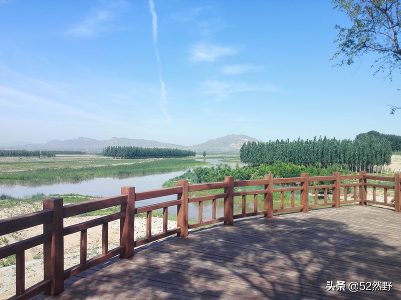 久违的蛙鸣声瞬间忆起童年的趣事,久违的蟋蟀声音