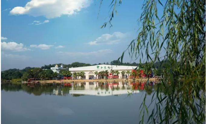 2020年长沙旅游景色：书堂山，湘绣博物馆，铁炉寺，五星农庄