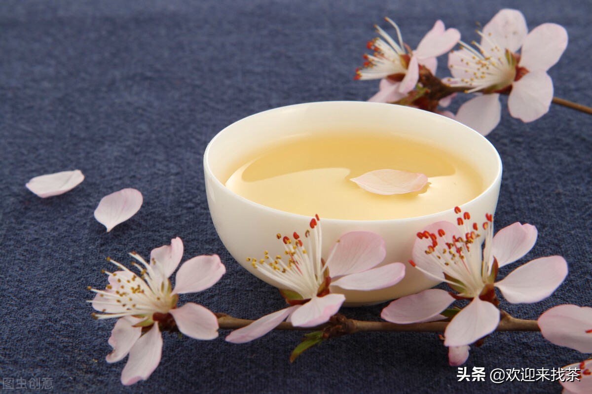 中国十大品牌茶叶排名,中国的十大茶叶品牌最新排名