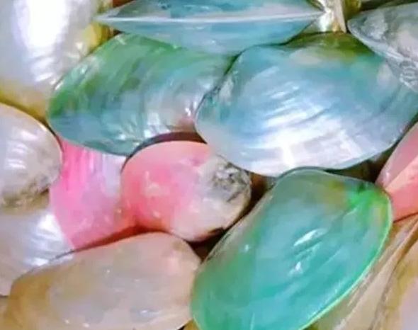 陈乔恩艾伦项链,陈乔恩代言的项链