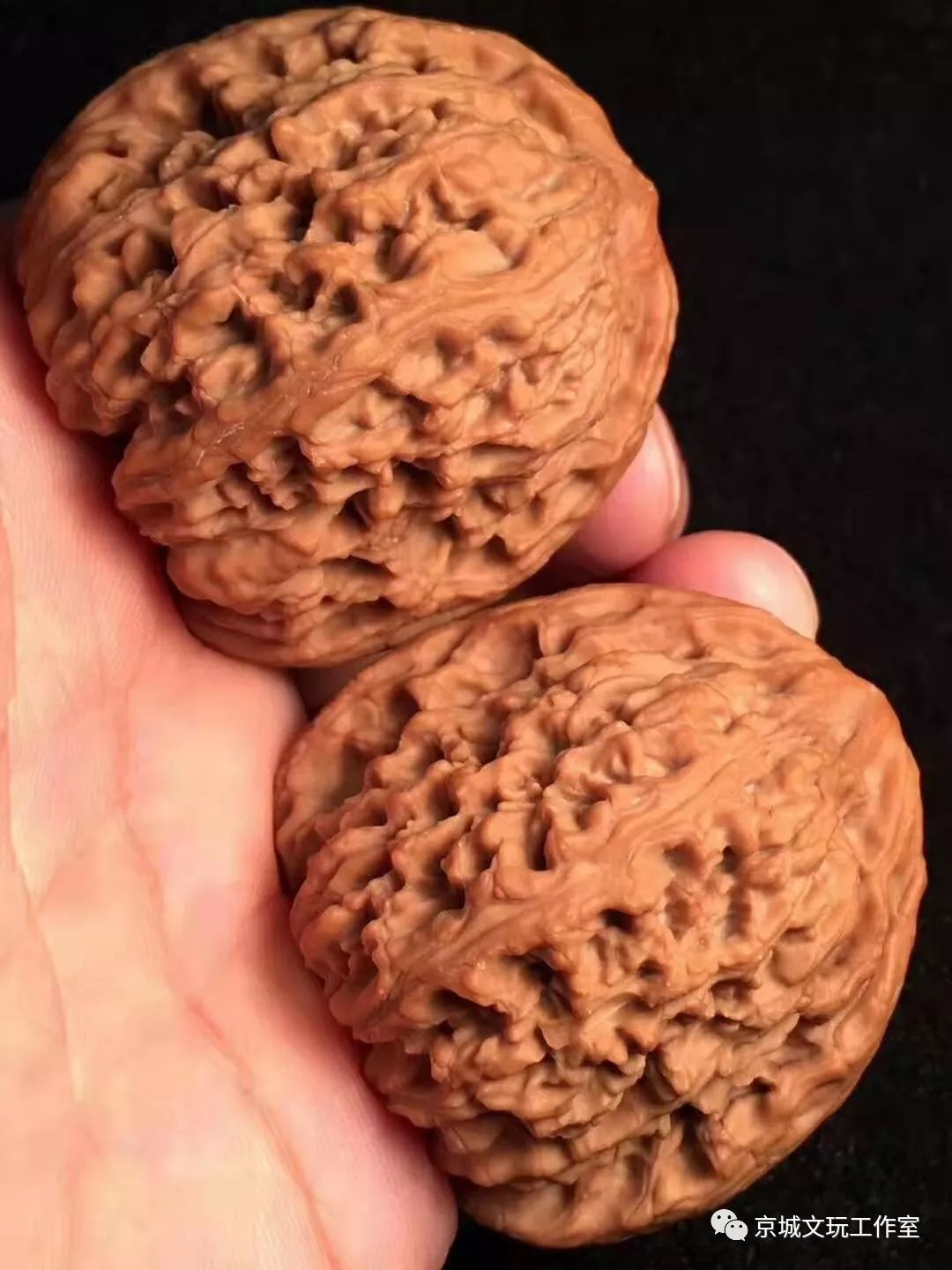 文玩核桃都是哪个地方的,你知道核桃原本是什么样的吗