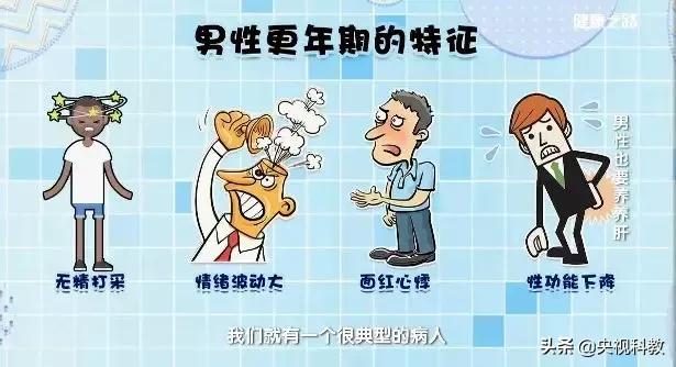 男人补肝补品,男人补肝育肾用什么补好