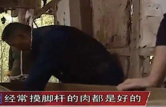 女子死后尸体被回收带走,女子死后16年遗体不腐惊动专家