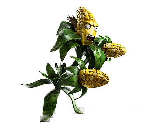 ps4植物大战僵尸花园战争2进不去,ps4植物大战僵尸花园战争双人同屏